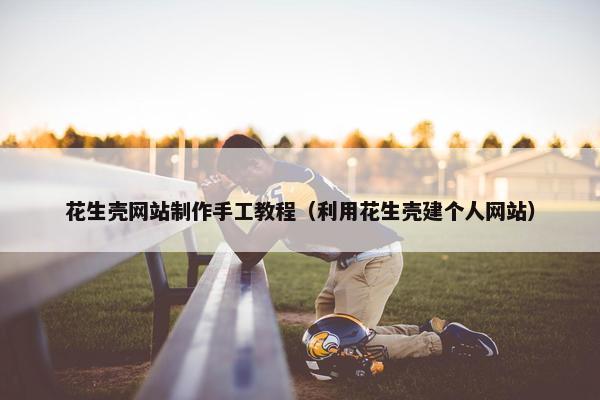 花生壳网站制作手工教程（利用花生壳建个人网站）