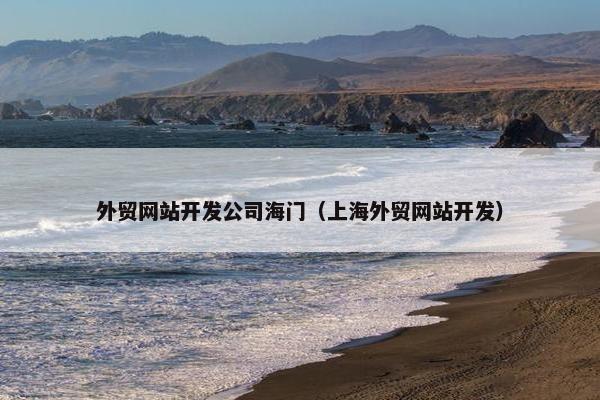 外贸网站开发公司海门（上海外贸网站开发）
