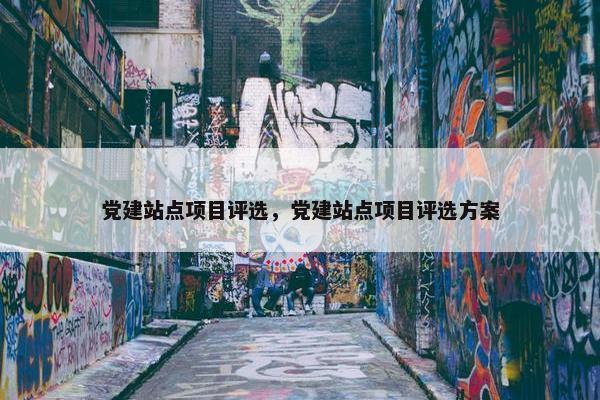 党建站点项目评选，党建站点项目评选方案