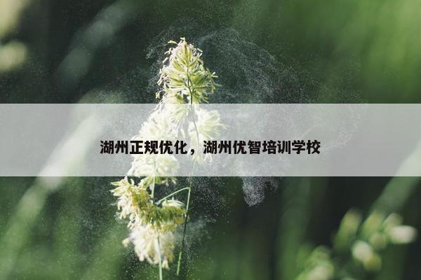 湖州正规优化，湖州优智培训学校
