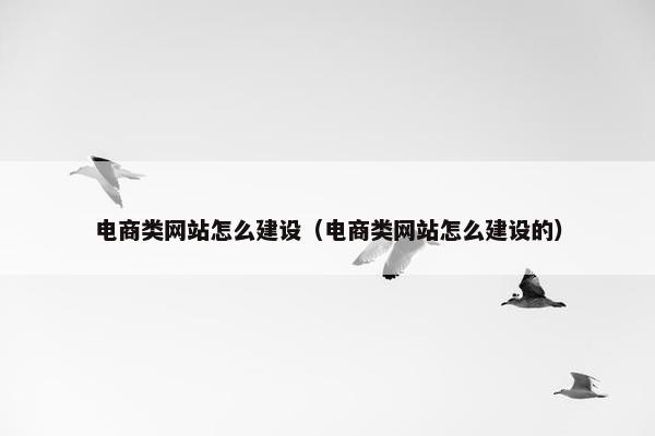 电商类网站怎么建设（电商类网站怎么建设的）