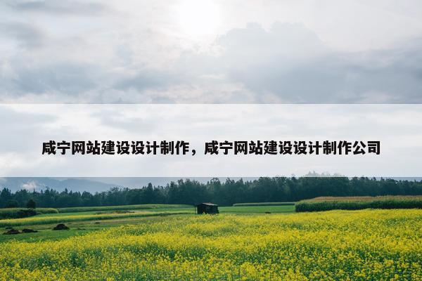 咸宁网站建设设计制作，咸宁网站建设设计制作公司