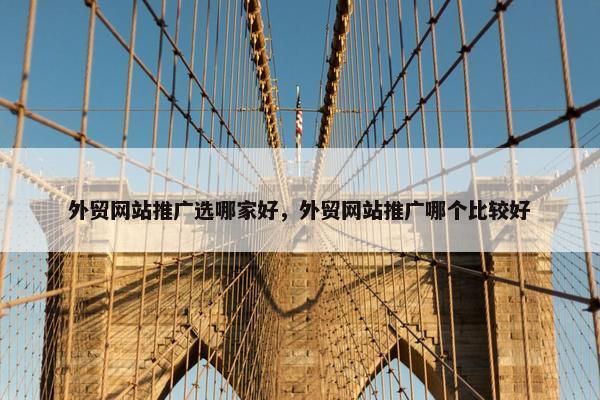 外贸网站推广选哪家好，外贸网站推广哪个比较好