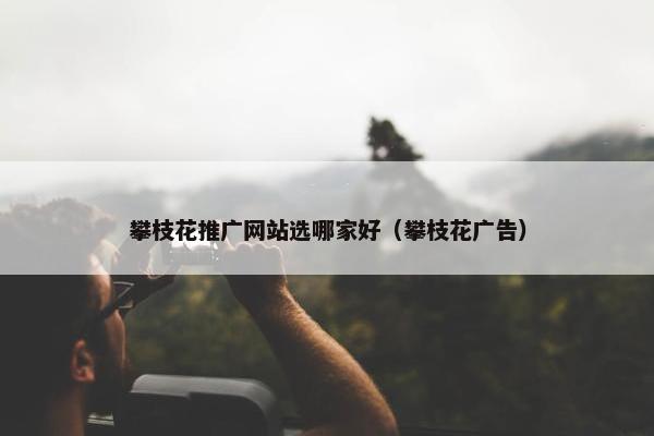 攀枝花推广网站选哪家好（攀枝花广告）