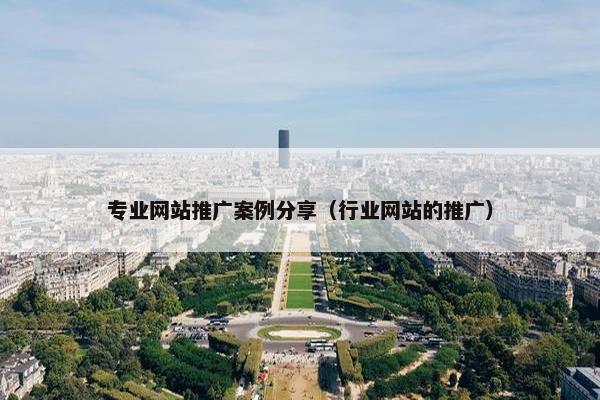 专业网站推广案例分享（行业网站的推广）