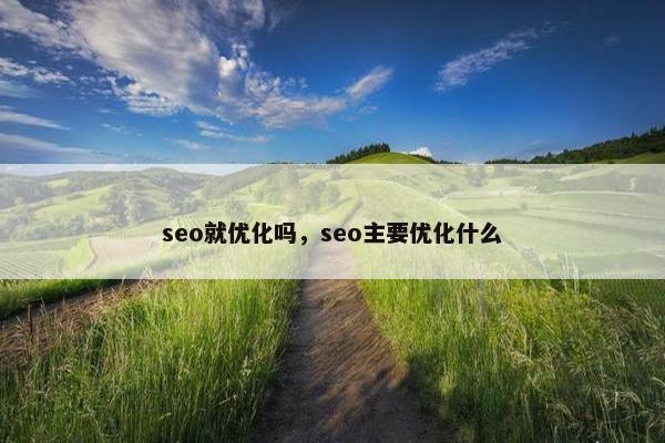 seo就优化吗，seo主要优化什么