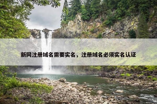 新网注册域名需要实名，注册域名必须实名认证