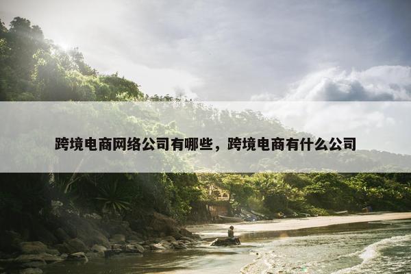 跨境电商网络公司有哪些，跨境电商有什么公司