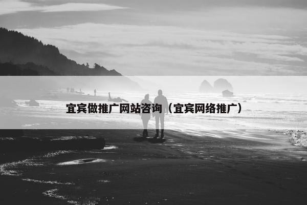 宜宾做推广网站咨询（宜宾网络推广）