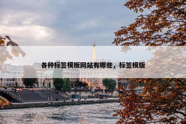 各种标签模板网站有哪些，标签模版