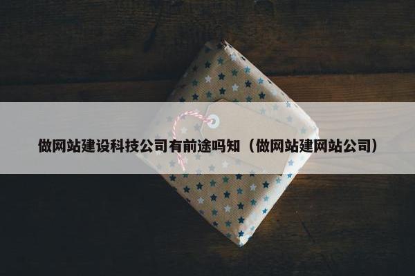 做网站建设科技公司有前途吗知（做网站建网站公司）