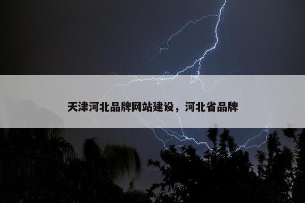 天津河北品牌网站建设，河北省品牌