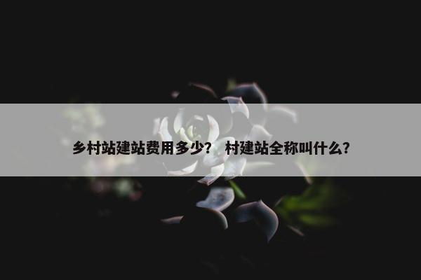 乡村站建站费用多少？ 村建站全称叫什么？