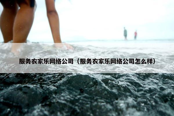 服务农家乐网络公司（服务农家乐网络公司怎么样）