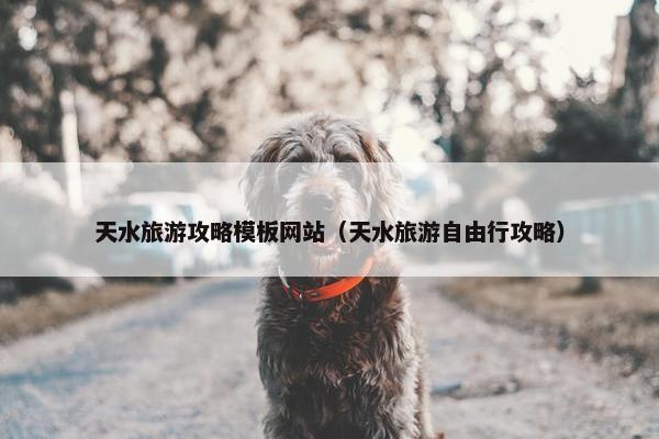 天水旅游攻略模板网站（天水旅游自由行攻略）