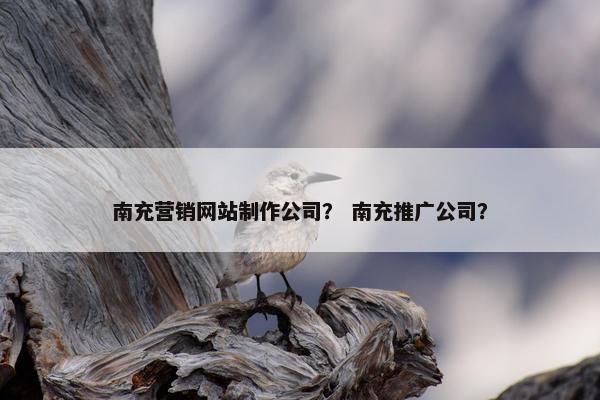 南充营销网站制作公司？ 南充推广公司？
