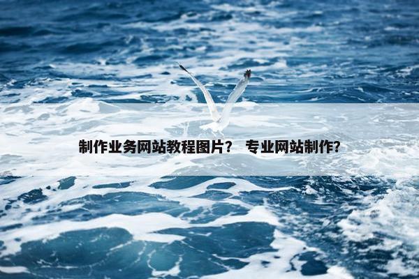 制作业务网站教程图片？ 专业网站制作？