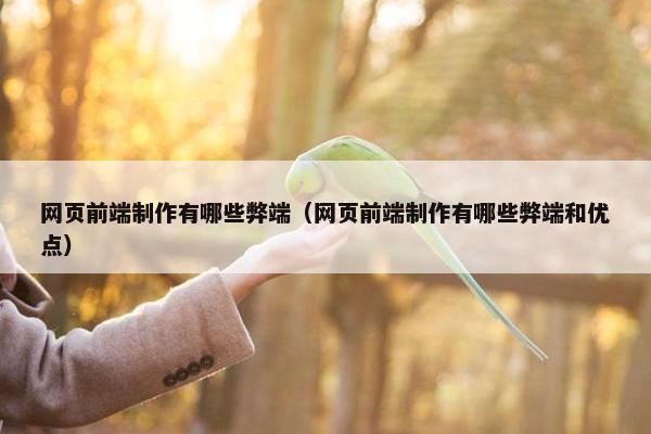 网页前端制作有哪些弊端（网页前端制作有哪些弊端和优点）