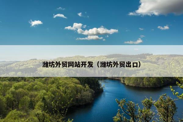潍坊外贸网站开发（潍坊外贸出口）