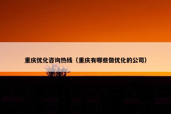 重庆优化咨询热线（重庆有哪些做优化的公司）