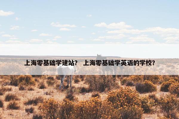 上海零基础学建站？ 上海零基础学英语的学校？