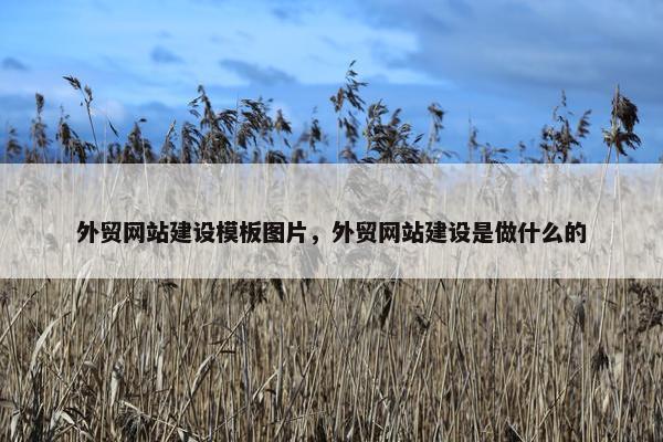 外贸网站建设模板图片，外贸网站建设是做什么的