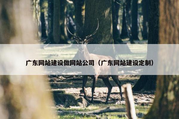广东网站建设做网站公司（广东网站建设定制）