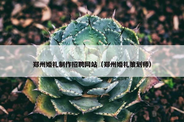 郑州婚礼制作招聘网站（郑州婚礼策划师）