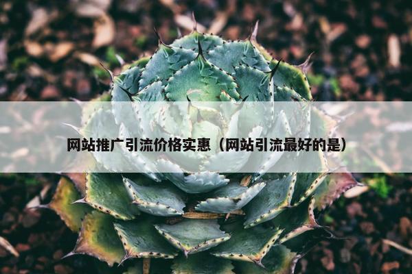 网站推广引流价格实惠（网站引流最好的是）