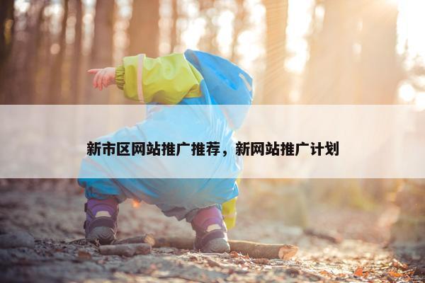 新市区网站推广推荐，新网站推广计划
