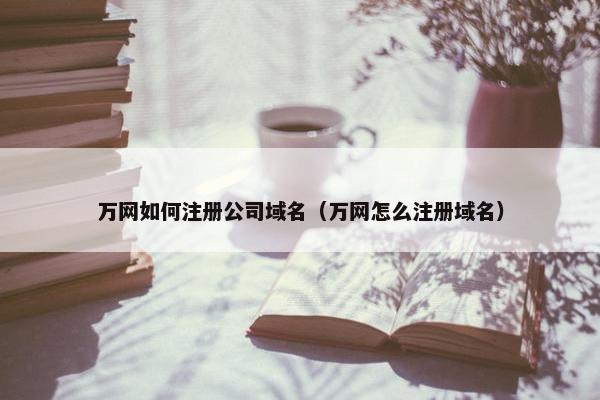 万网如何注册公司域名（万网怎么注册域名）