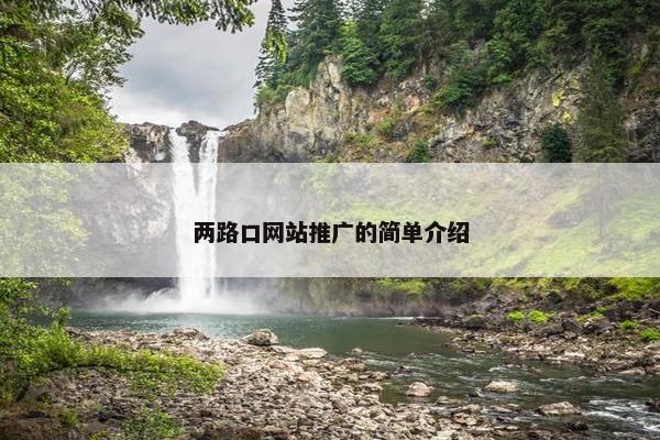 两路口网站推广的简单介绍