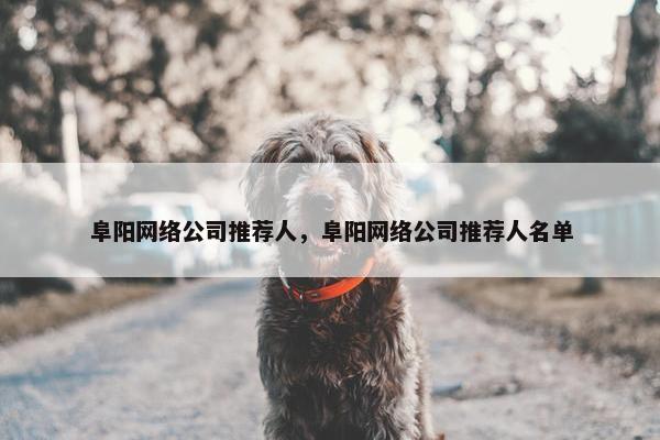 阜阳网络公司推荐人，阜阳网络公司推荐人名单