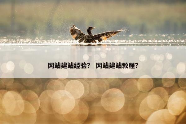 网站建站经验？ 网站建站教程？