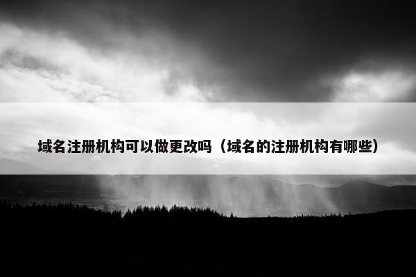 域名注册机构可以做更改吗（域名的注册机构有哪些）