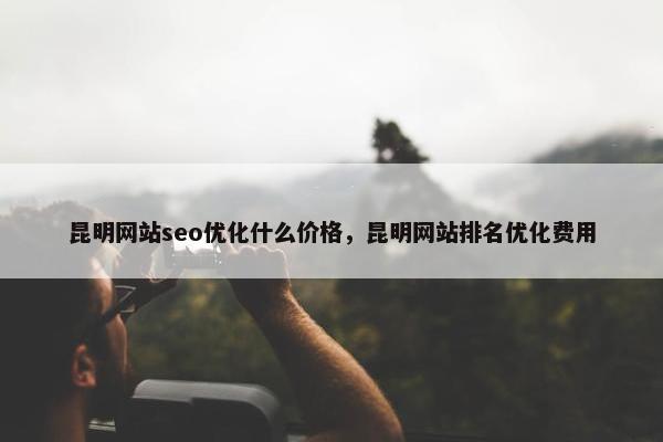 昆明网站seo优化什么价格，昆明网站排名优化费用