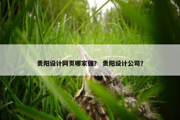 贵阳设计网页哪家强？ 贵阳设计公司？