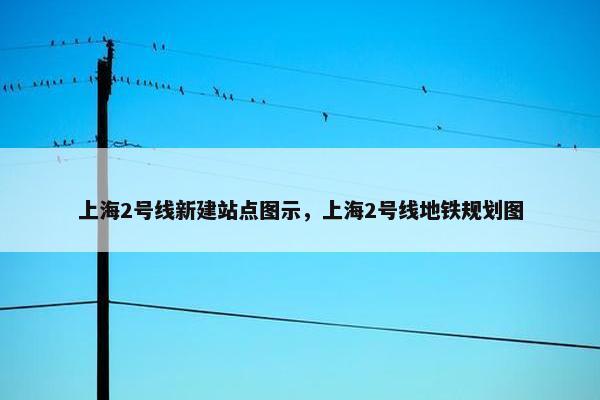 上海2号线新建站点图示，上海2号线地铁规划图