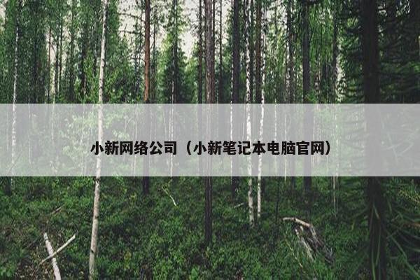 小新网络公司（小新笔记本电脑官网）