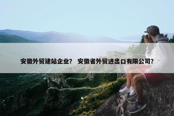 安徽外贸建站企业？ 安徽省外贸进出口有限公司？