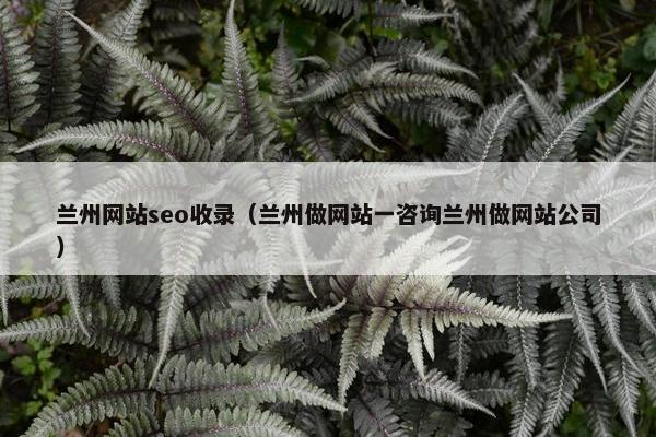 兰州网站seo收录（兰州做网站一咨询兰州做网站公司）