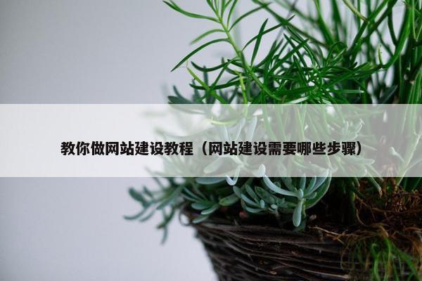 教你做网站建设教程（网站建设需要哪些步骤）