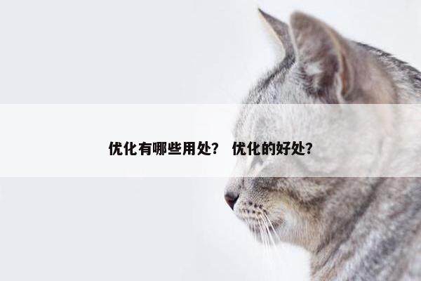 优化有哪些用处？ 优化的好处？