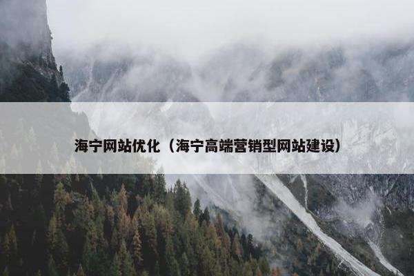 海宁网站优化（海宁高端营销型网站建设）