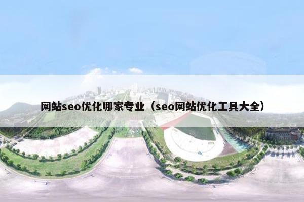 网站seo优化哪家专业（seo网站优化工具大全）