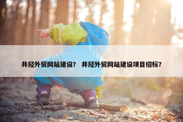 井陉外贸网站建设？ 井陉外贸网站建设项目招标？
