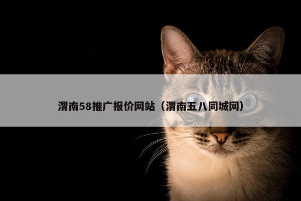 渭南58推广报价网站（渭南五八同城网）