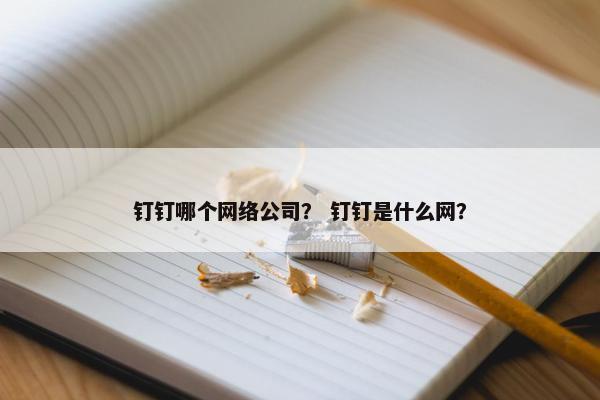 钉钉哪个网络公司？ 钉钉是什么网？