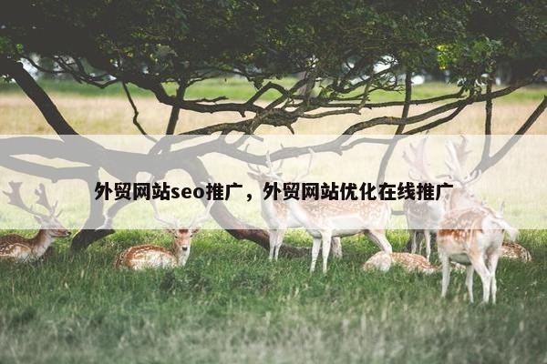 外贸网站seo推广，外贸网站优化在线推广
