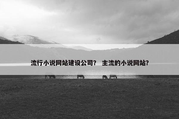 流行小说网站建设公司？ 主流的小说网站？